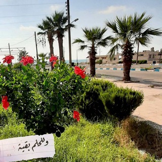 Telegram profile photo for وللحلم بقية..💚