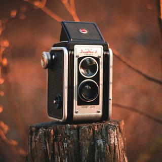 Telegram profile photo for Photography Club 📷