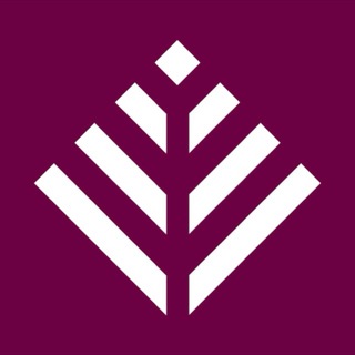 Telegram profile photo for - Sekouyaa Public Channel -
