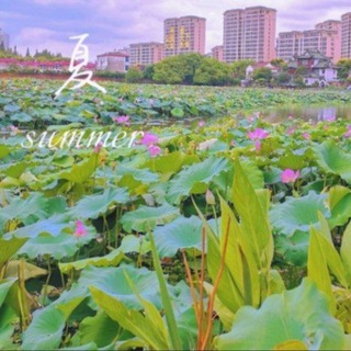 Telegram group profile photo for 夏季☀️买卖群