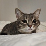 Telegram profile photo for улянын группасы❤️