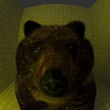 Telegram profile photo for rarerituals