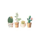 Telegram profile photo for • تبلیغآت مشترک کاکتوس🌵 •