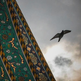 Telegram profile photo for رَهگُــــــذَر³¹⁵ ؛