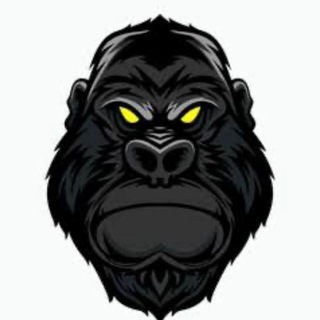 Telegram profile photo for APEX PREDICTOR - CALL 🦍