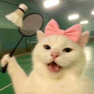 Telegram group profile photo for NU Badminton🏸