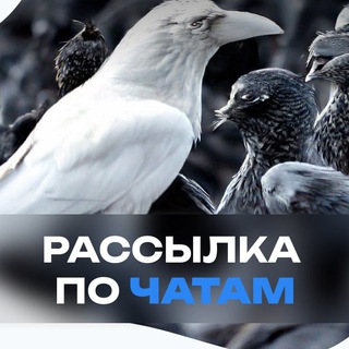 Telegram profile photo for Телеанонс