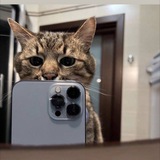Telegram profile photo for ππ§π¬πππ π«ππ¦ π―π’πππ¨π₯ππ« π«ππ€π₯ππ¦π
