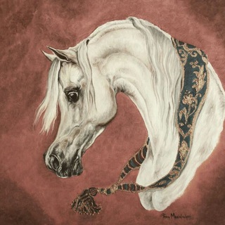 Telegram profile photo for Khoozestan Arab horse