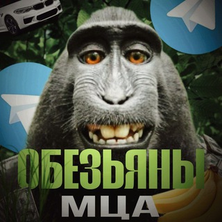 Telegram group profile photo for Обезьяны МЦА