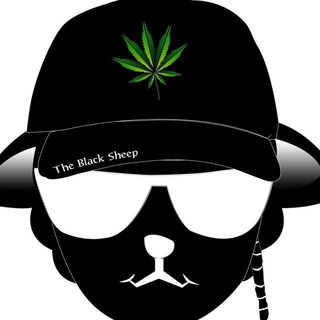 Telegram profile photo for TheBlackSheep😎