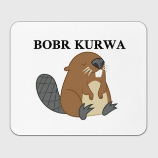 Telegram profile photo for BOBER666 ️