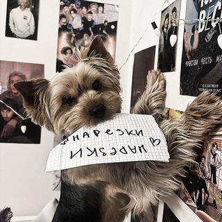 Telegram profile photo for нарезки для эдитов