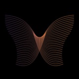 Telegram profile photo for پروانه 🦋 ParvaneVPN