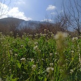 Telegram profile photo for کانال روستای سورشان