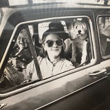 Telegram profile photo for Собачка Жевачка