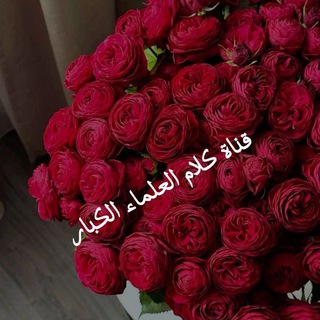 Telegram profile photo for كلام العلماء الكبار🌹