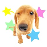 Telegram profile photo for hold it tight