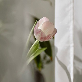 Telegram profile photo for سِـراج