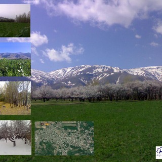 Telegram profile photo for .اولین کانال رسمی هریس