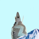 Telegram profile photo for Олег ищет море