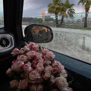 Telegram profile photo for ملصقات مُذهلـہ