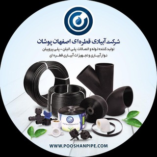 Telegram profile photo for هاوک