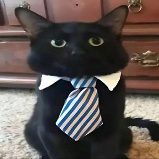 Telegram profile photo for ЛЕВИАФАН ПАРФЮМ
