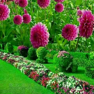 Telegram profile photo for #آسایش روان#