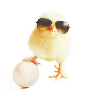 Telegram profile photo for 🐥Kurdupluk🐣