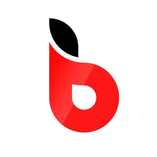 Telegram profile photo for BookApp