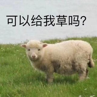 Telegram group profile photo for OowoO|尼好,这是评论区