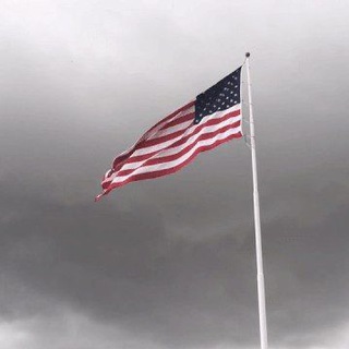 Telegram profile photo for RCN 🇺🇸 (archive)