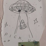 Telegram profile photo for Записи грибовода 🍄🟫