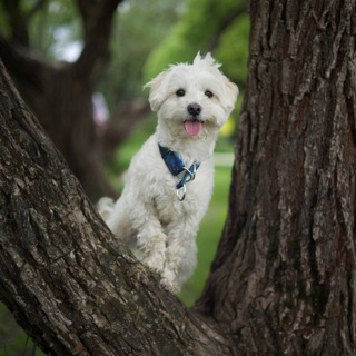 Telegram profile photo for чуть-чуть фотограф