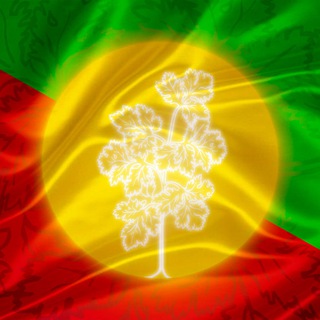 Telegram profile photo for кензовы острова
