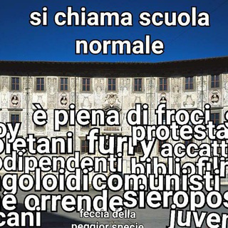 Telegram profile photo for Scuola Normale NEWS