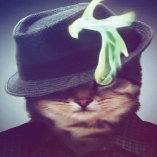 Telegram profile photo for 6bubble