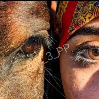 Telegram profile photo for نبذات قصف جبهات كبرياء رجل و غرور انثى