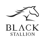 Telegram profile photo for Black Stallion FX