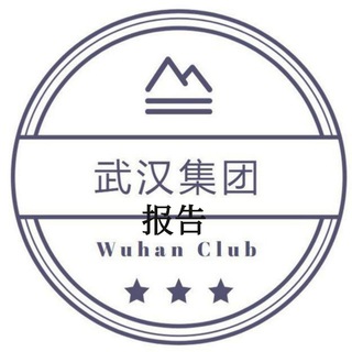 Telegram profile photo for 武汉集团报告2.0