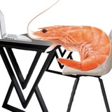 Telegram profile photo for Каталог Богдана Не 🦐