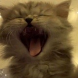 Telegram profile photo for щп от юпт
