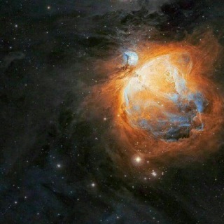 Telegram profile photo for Black Holes