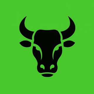 Telegram profile photo for Bull Theory