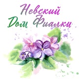 Telegram profile photo for Невский Дом Фиалки