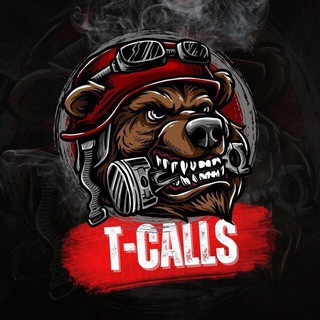 Telegram profile photo for T-CALLS ALPHA X1000π²