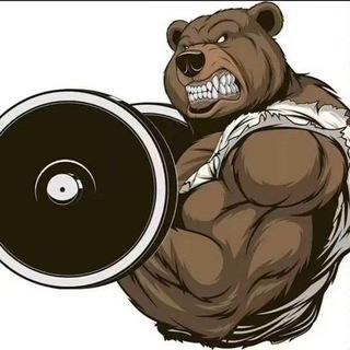 Telegram profile photo for 暴力熊三角洲