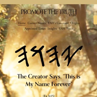 Telegram profile photo for Promote The Truth Channel - YAHUAH Believers