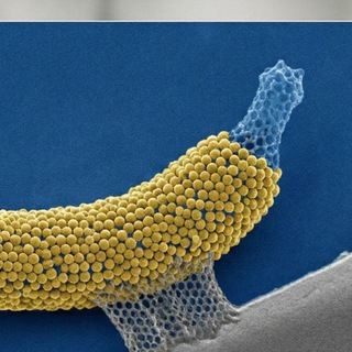 Telegram profile photo for איך יוצרים עם nano banana